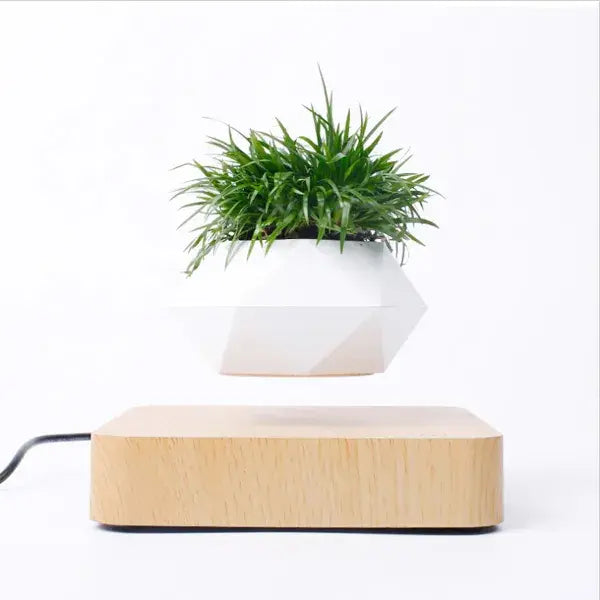Potted Plant Home Desk Decor 