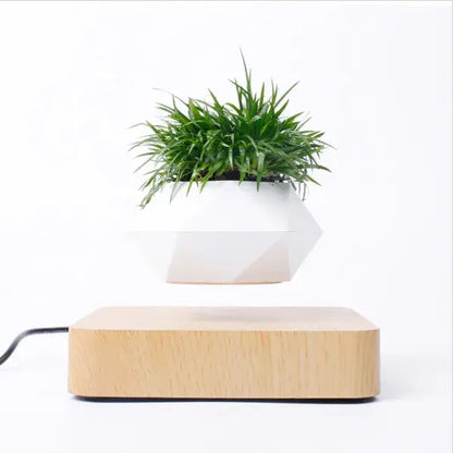 Potted Plant Home Desk Decor 