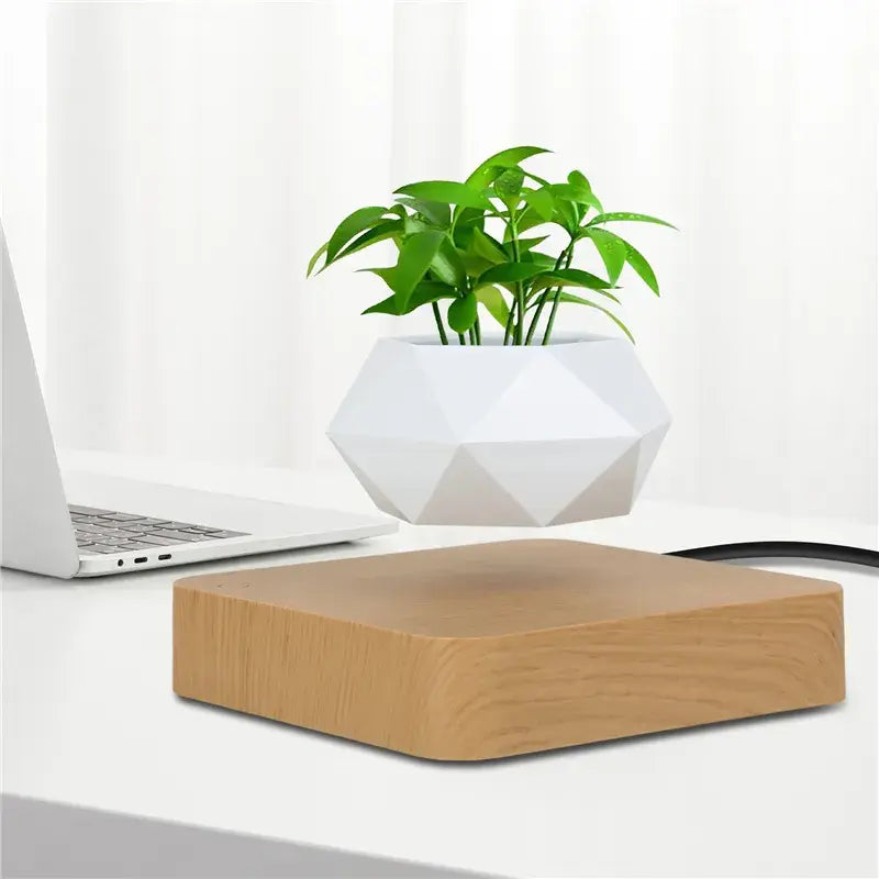 Potted Plant Home Desk Decor home