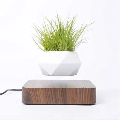 Potted Plant Home Desk Decor home