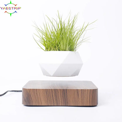 Potted Plant Home Desk Decor 