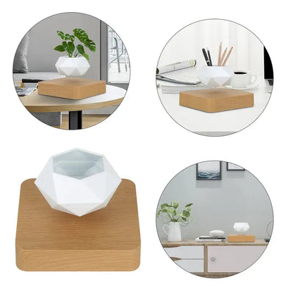 Potted Plant Home Desk Decor home
